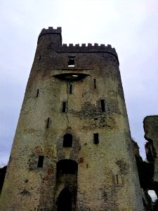 Ballyadams Castle, Laois photo