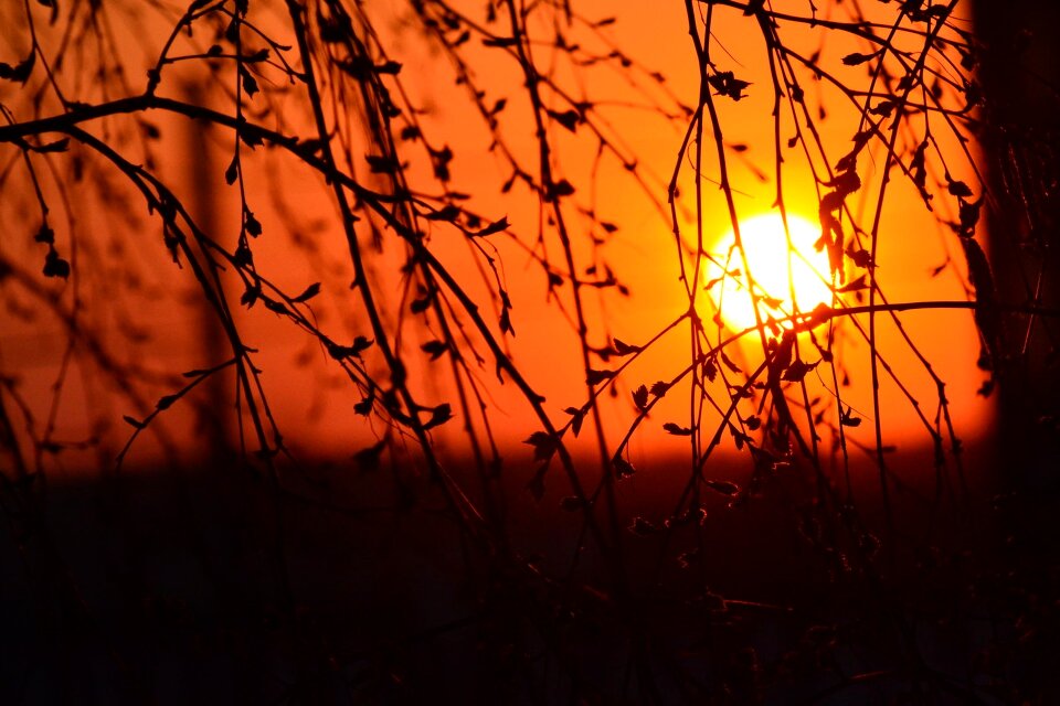 Morning sun sunlight