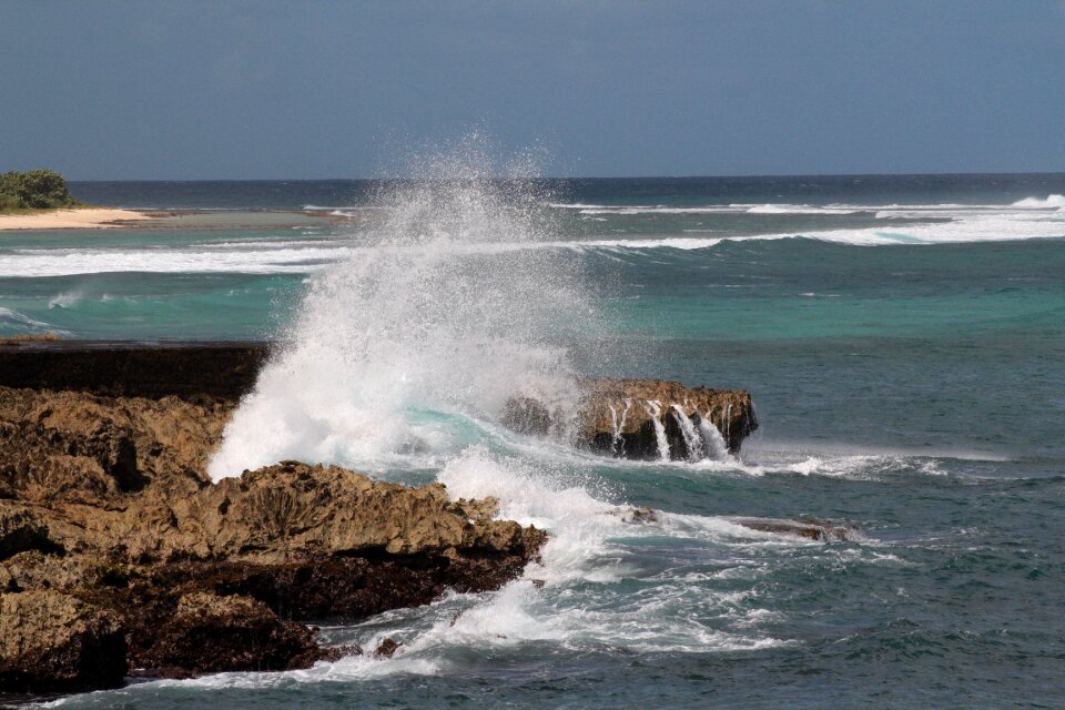 Rock spray seaside
