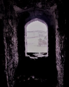 Ballyadams Castle, Laois photo