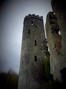 Ballyadams Castle, Laois photo