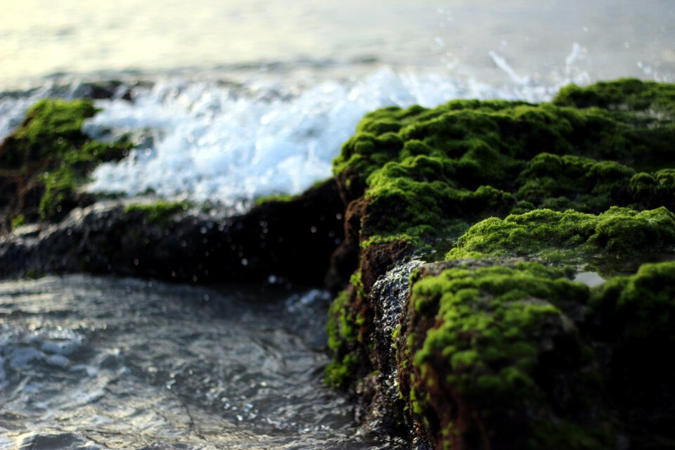 Waves shore coast