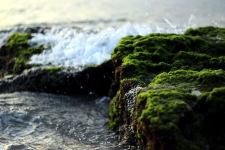 Waves shore coast