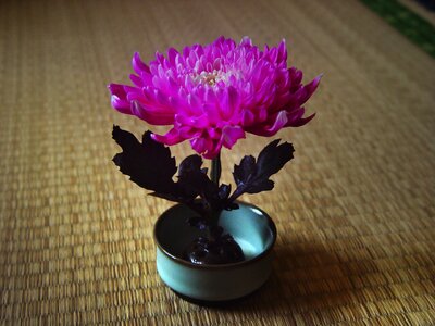 China wind zen flower arrangement
