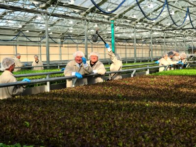 Agriculture Secretary Perdue tours the Lēf Hydroponic Farm, in  Lēf Farm, Loudon, NH, on Sep 1, 2017. USDA Photo by Lance Cheung.