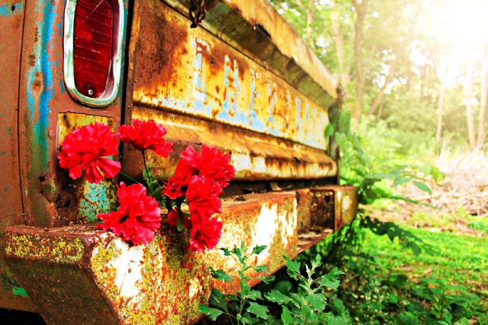 Love romantic summer