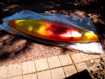 What Landed in My Driveway?