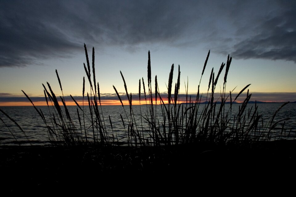 Landscape refuge scenic