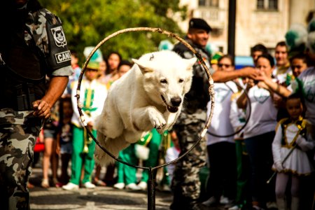 01.12.2019 - Abertura da 2ª Semana de Proteção Animal - Foto: Gustavo Vara