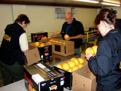 20080219-APHIS-CHRP-0027