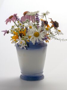 Bouquet still life porcelain