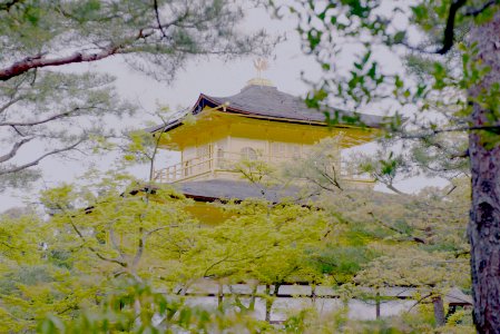 金閣寺 photo