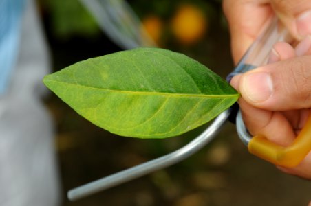 20120120-APHIS-DB-0060