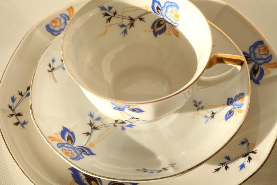 Schnack porcelain display case