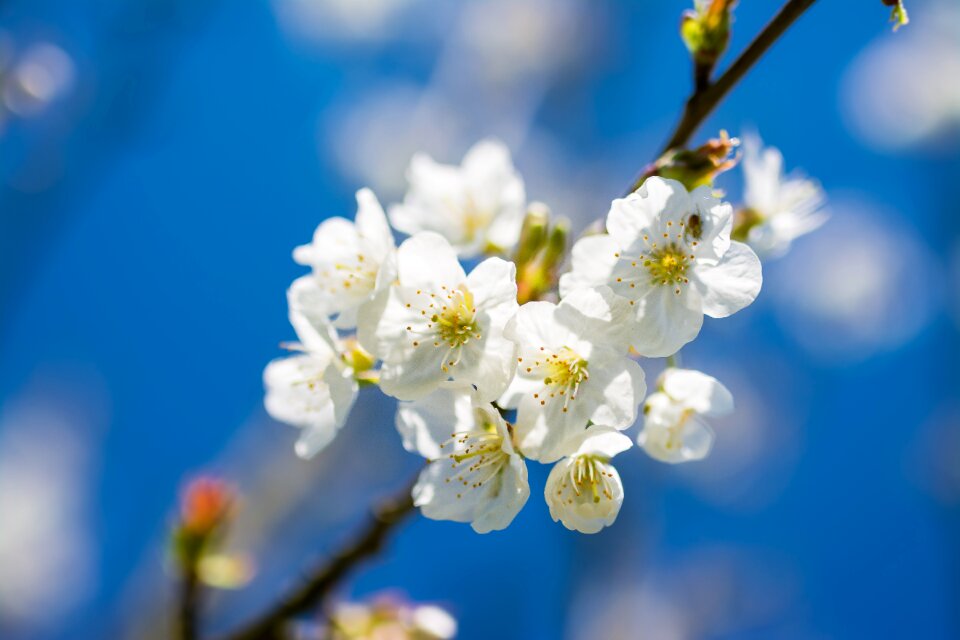 Beautiful blue sky