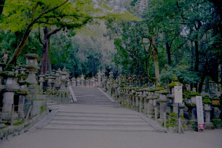 奈良公園