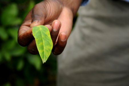 20120120-APHIS-DB-0061
