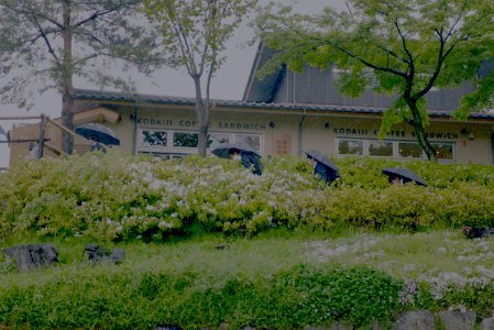 清水寺 photo