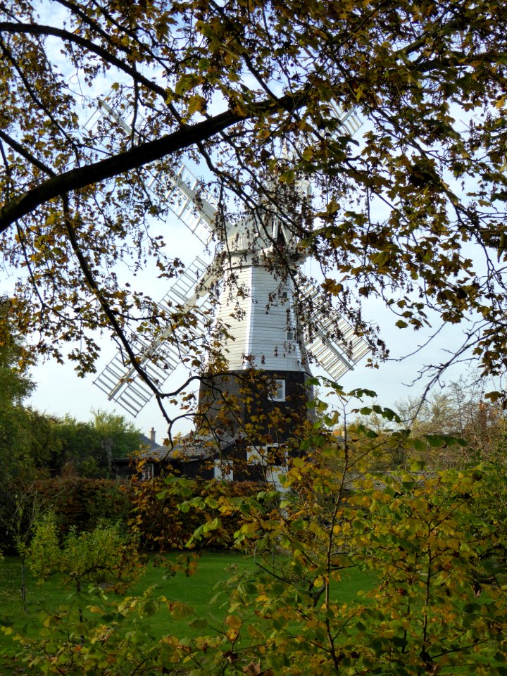 Autumn Windmill 2016