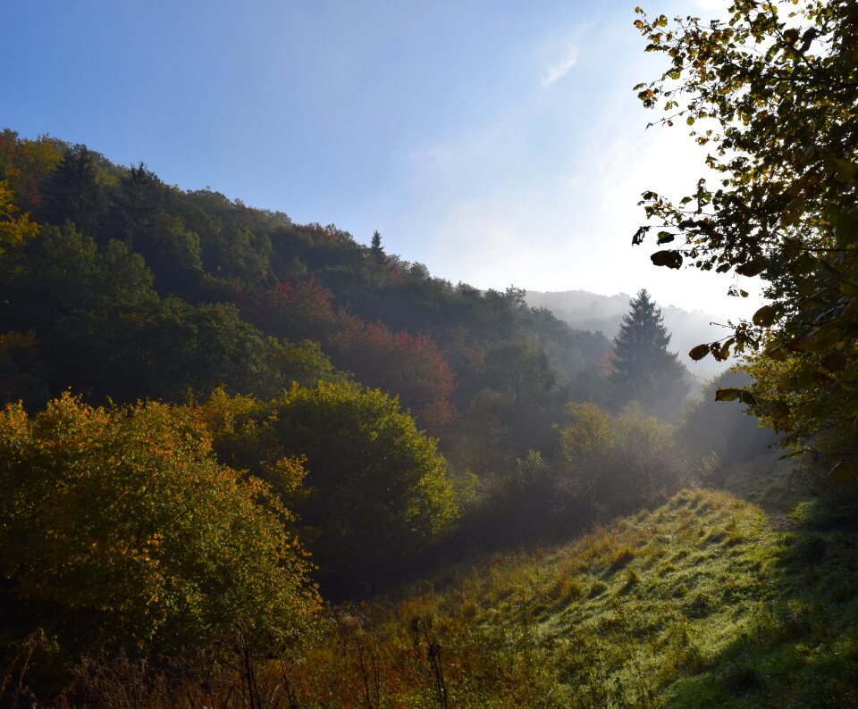 Sun golden golden autumn