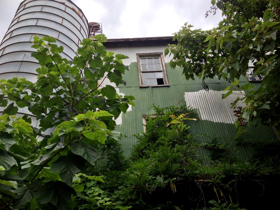 Southside Roller Mill Chase City