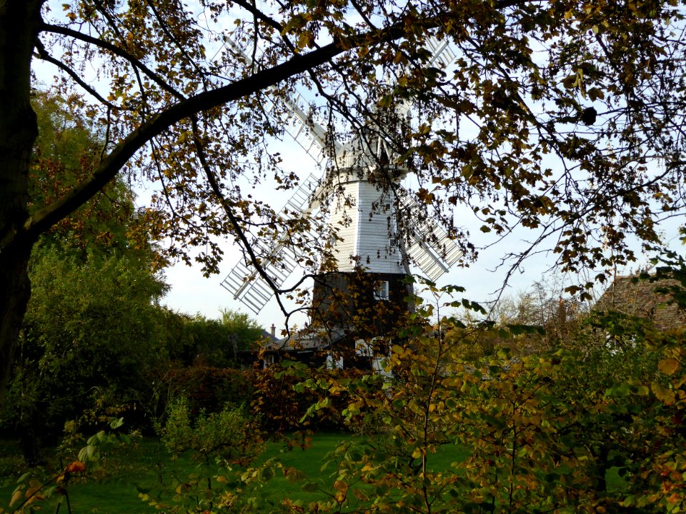 Autumn Windmill 2016