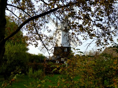 Autumn Windmill 2016