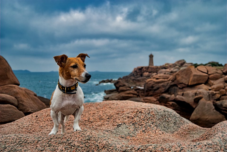 Ploumanac'h lighthouse (BREIZH | BRETAGNE | BRETAGNE | BRITTANY)
