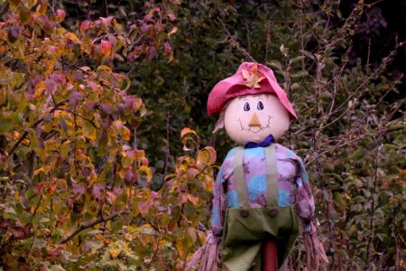 Autumn 2016