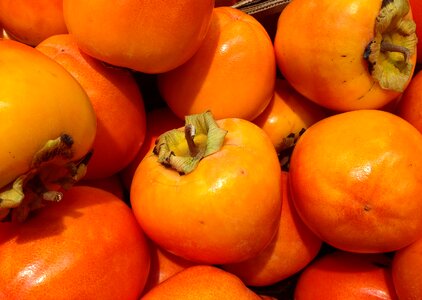 Persimmons fall orange