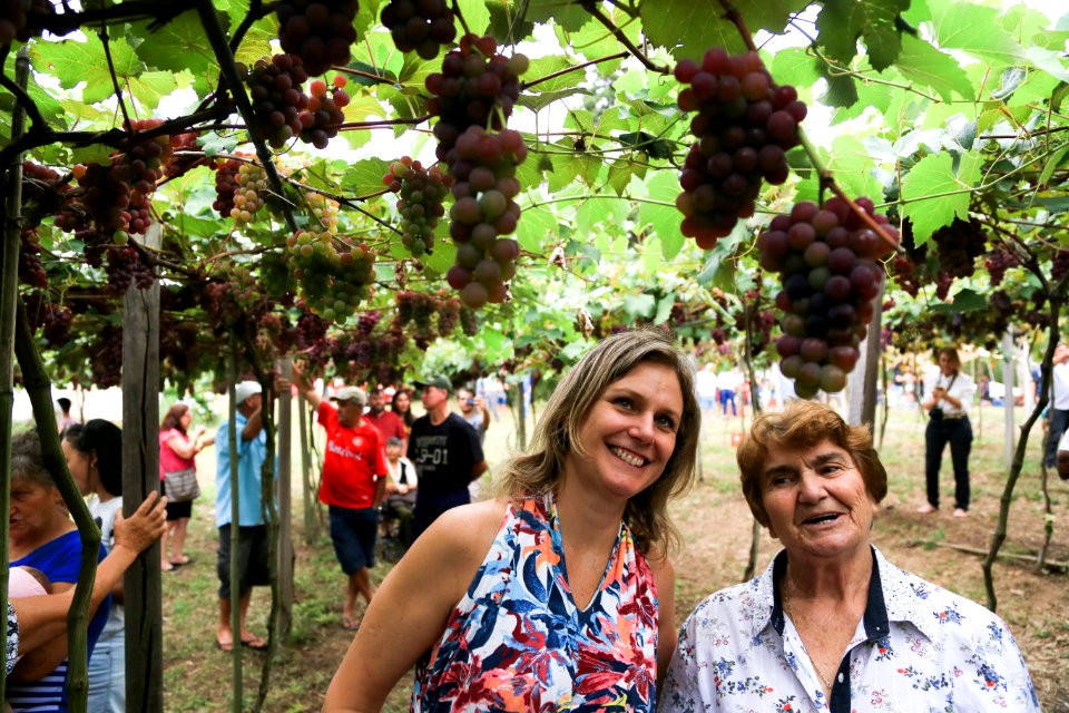 27.01.2018 - Prefeita Paula Mascarenhas durante abertura e Festa da Colheita da Uva, 8º Distrito, Colônia Santa Helena, propriedade de Dirceu Kurz - Foto: Gustavo Vara