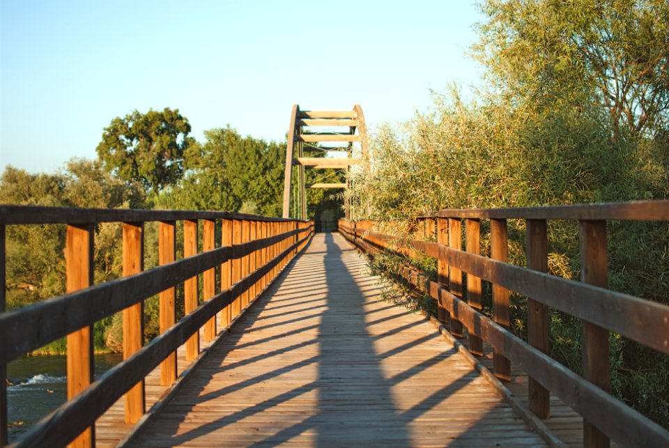 Bridge over the Segre river, Lleida (Catalonia)