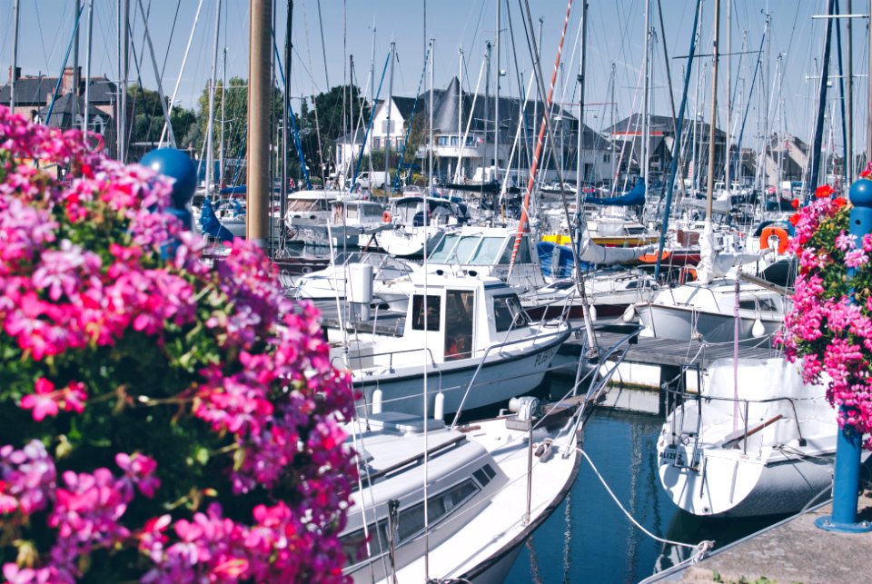 PAIMPOL (BREIZH | BRETAGNE | BRETAGNE | BRITTANY)