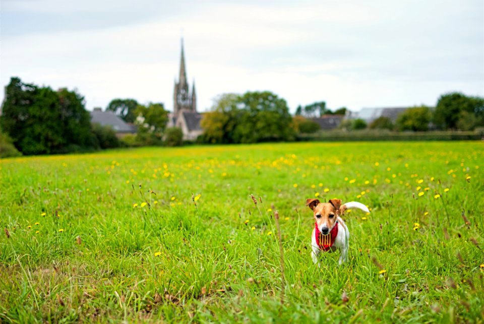 BREIZH | BRETAGNE | BRETAGNE | BRITTANY