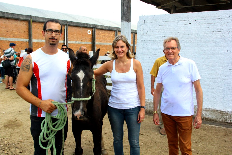01.03.2018 - Gab Prefeita - Entrega de cavalos e visita as novas instalações da hospedaria - Foto Marcel Avila