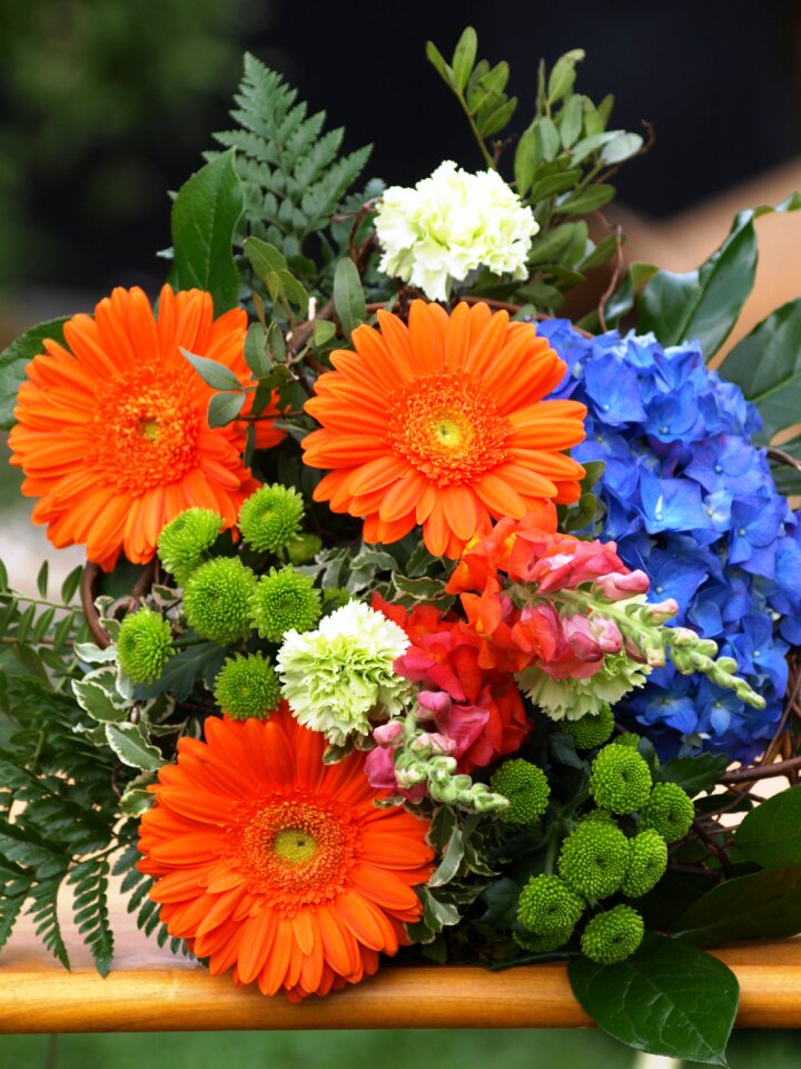 Color orange blue