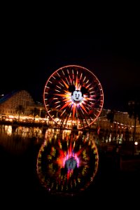 California Adventure with the Scotts