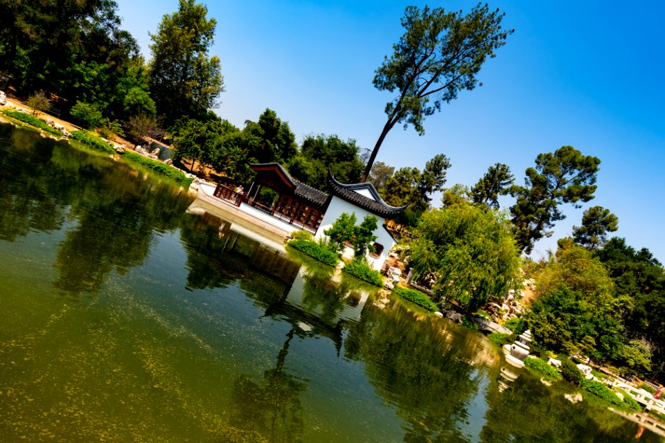 Huntington Library and Botanical Gardens