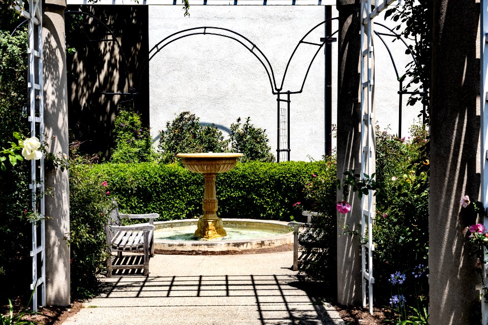 Huntington Library and Botanical Gardens