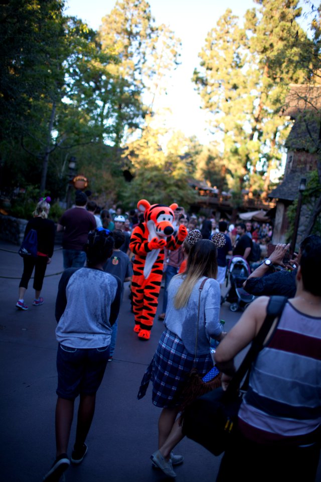 Disneyland with the Scotts