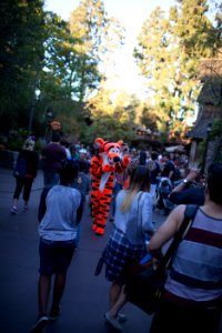 Disneyland with the Scotts