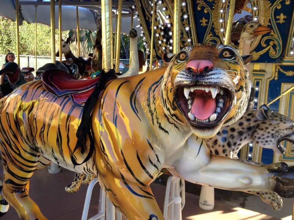 Amusement ride park