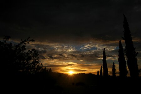 Horizin yellow dawn photo