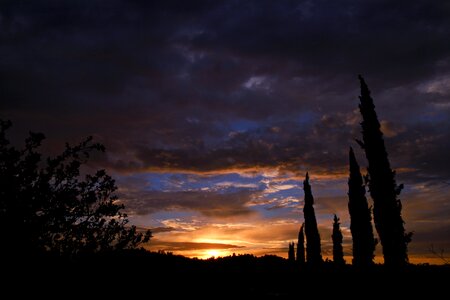 Horizin yellow dawn