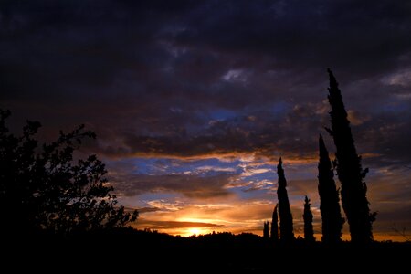 Horizin yellow dawn photo