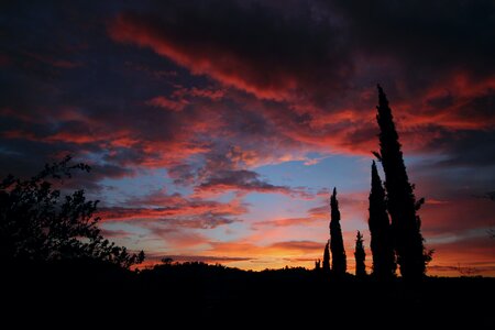 Horizin yellow dawn