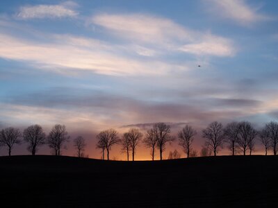 Silhouette trees sky photo