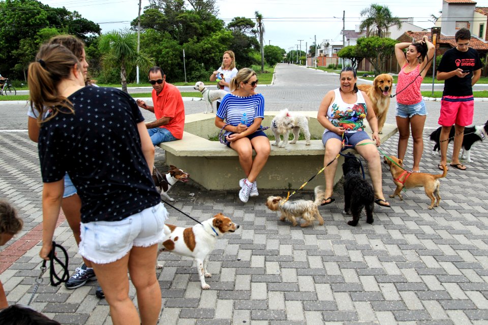 28.01.2018 - Prefeita Paula Mascarenhas participa da Cãominhada do jornal Diário Popular na Praia do Laranjal