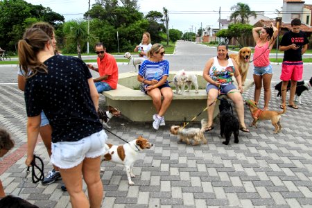 28.01.2018 - Prefeita Paula Mascarenhas participa da Cãominhada do jornal Diário Popular na Praia do Laranjal