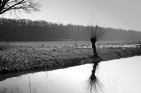 Landscape nature green